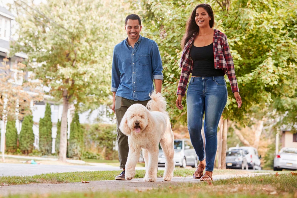 Happy couple walking their dog.