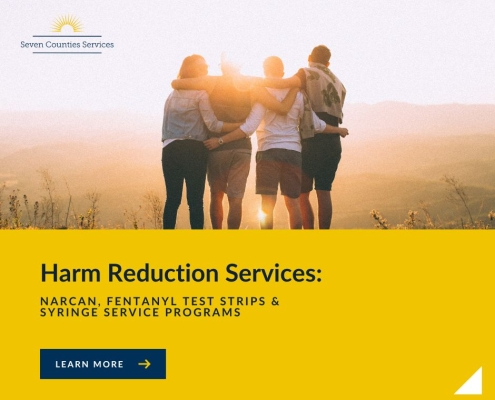 harm reduction services